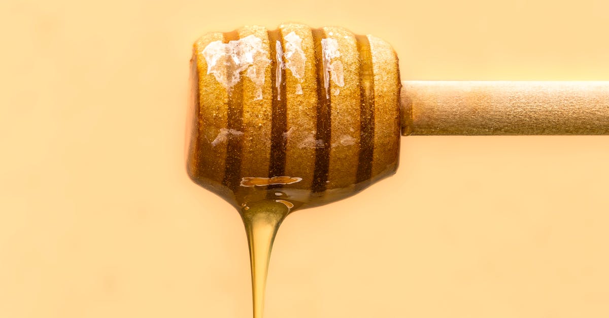 How Occupational Therapy Facilitates Independence for Seniors