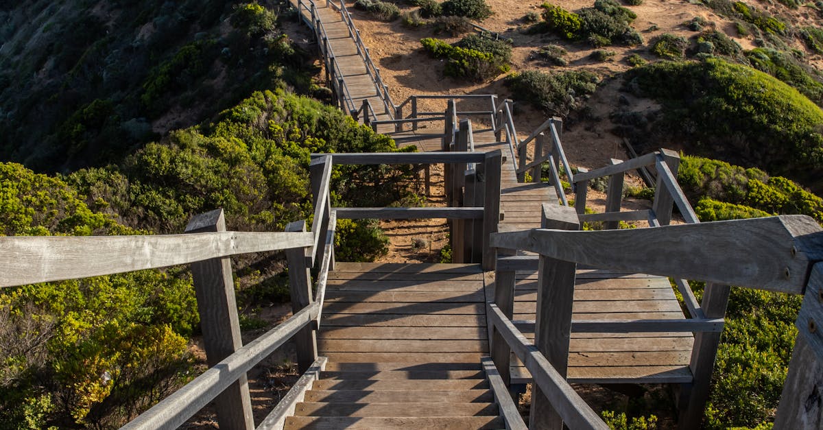 Innovative Approaches to Voice Rehabilitation