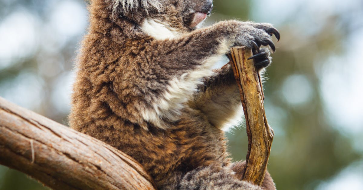 Innovative Techniques in Pain Management at Physical Rehab Centers