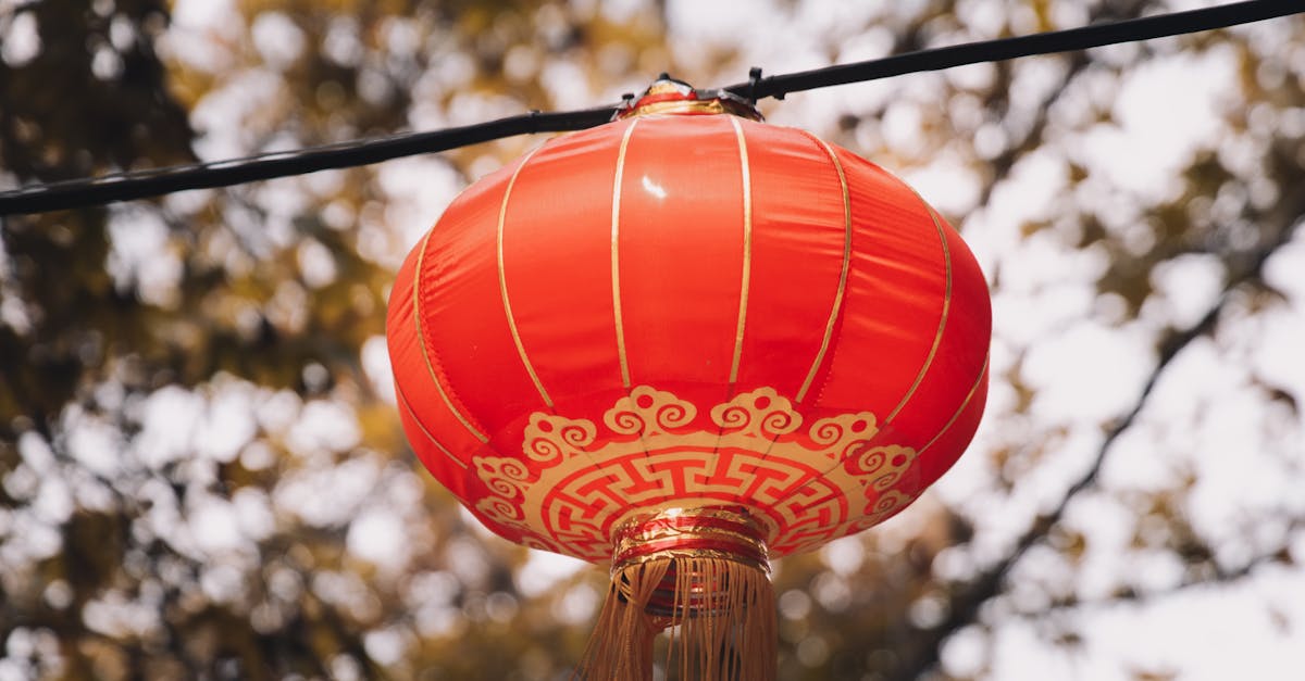 Top Physiotherapy Techniques for Athletes in Rehabilitation