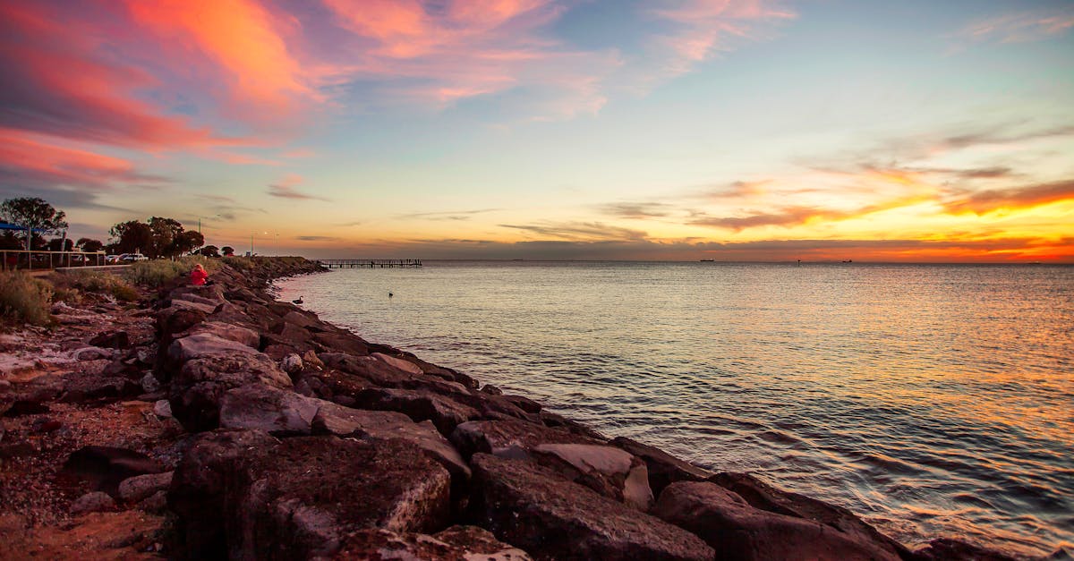 Trauma and PTSD: Navigating the Road to Resilience