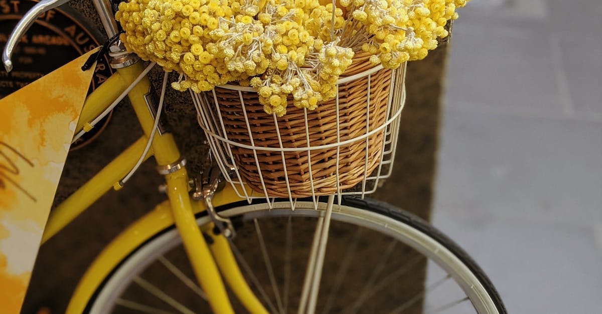 Understanding Pain and Its Impact on Recovery Outcomes