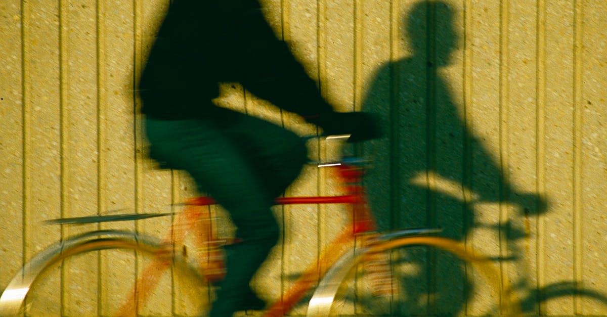 Understanding Trauma and PTSD: Key Concepts for Recovery